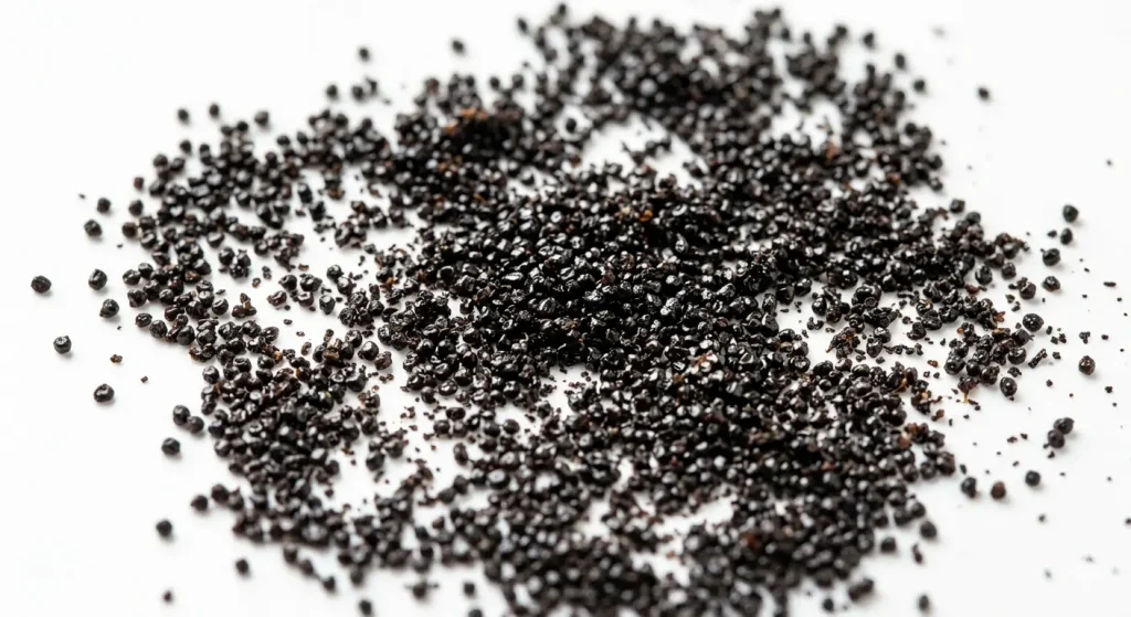 Graines de vanille Bourbon noires de Madagascar